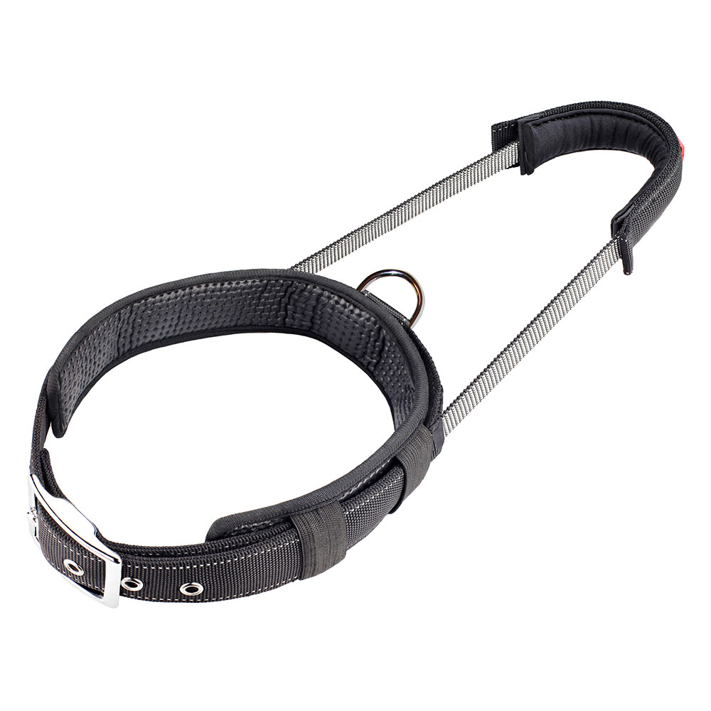 PatentoPet® Sport Halsband, schwarz - Größe M: 37 - 47 cm Halsumfang von PatentoPet
