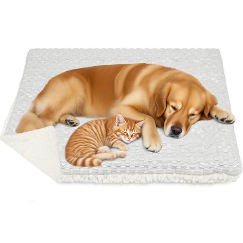 PatiencET Hundebox-Pad, wendbares Hundebett für Hundekäfig, kühl und warm, mit waschbarem, abnehmbarem Bezug, weiche Hundehüttenunterlage für mittelgroße und große Hunde, Kühlmatte, beheiztes PatiencET Hundebox-Pad, wendbares Hundebett für Hundekäfig, kühl und warm, mit waschbarem, abnehmbarem Bezug, weiche Hundehüttenunterlage für mittelgroße und große Hunde, Kühlmatte, beheiztes von PatiencET