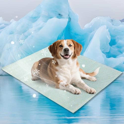 PatiencET Kühlmatte für Hunde, 55,9 x 71,1 cm, faltbare und waschbare Kühlmatte für den Sommer, Eisseide, für drinnen und draußen, auslaufsicher und rutschfest PatiencET Kühlmatte für Hunde, 55,9 x 71,1 cm, faltbare und waschbare Kühlmatte für den Sommer, Eisseide, für drinnen und draußen, auslaufsicher und rutschfest von PatiencET