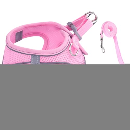 Patifirst Ausbruchssicheres Katzengeschirr,Weiches Mesh-Geschirr Mit Reflektierenden Sicherheitsstreifen | Haustierzubehör Für Kleine Mittelgroße Große Tiere Reisen Rucksack Outdoor Wandern Patifirst Ausbruchssicheres Katzengeschirr,Weiches Mesh-Geschirr Mit Reflektierenden Sicherheitsstreifen | Haustierzubehör Für Kleine Mittelgroße Große Tiere Reisen Rucksack Outdoor Wandern von Patifirst