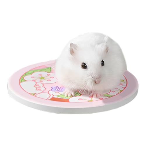 Patifirst Hamster Kühlmatte, Keramische Kühlmatte Für Kaninchen, Haustierzubehör, Kühlkissen Für Kleintiere Auf Schlafplatz, Sofa & Transportbox Patifirst Hamster Kühlmatte, Keramische Kühlmatte Für Kaninchen, Haustierzubehör, Kühlkissen Für Kleintiere Auf Schlafplatz, Sofa & Transportbox von Patifirst