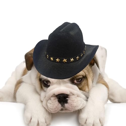 Patifirst Westernhut Für Katze Und Hund | Tier Cowboy Kostüm Hut - Für Western Mottopartys Halloween Festtagszubehör Hund Katze von Patifirst