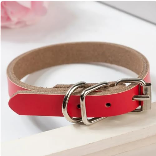 Hundehalsband aus Leder, breites und dickes Halsband, verstellbar, robust, für kleine, mittelgroße und große Hunde (M, Rot) von Patitas Shop