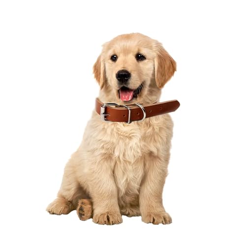Hundehalsband aus Leder, breites und dickes Halsband mit weicher Polsterung, verstellbares Hundehalsband aus strapazierfähigem Leder für kleine, mittlere und große Hunde (L, Braun) von Patitas Shop