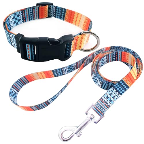 Hundehalsband mit Leine, verstellbar und robust mit modischen Mustern, bequemes Nylonhalsband und Leine für kleine, mittelgroße große Hunde, Welpen (M, Design 2) von Patitas Shop