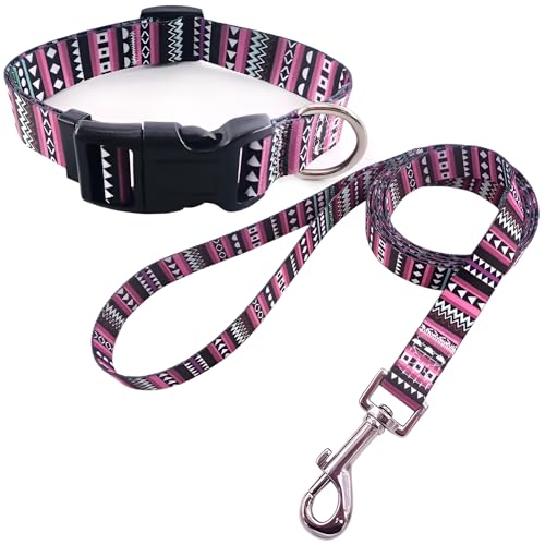 Hundehalsband mit Leine, verstellbar und robust mit modischen Mustern, bequemes Nylonhalsband und Leine für kleine mittelgroße große Hunde, Welpen (M, Design 4) von Patitas Shop