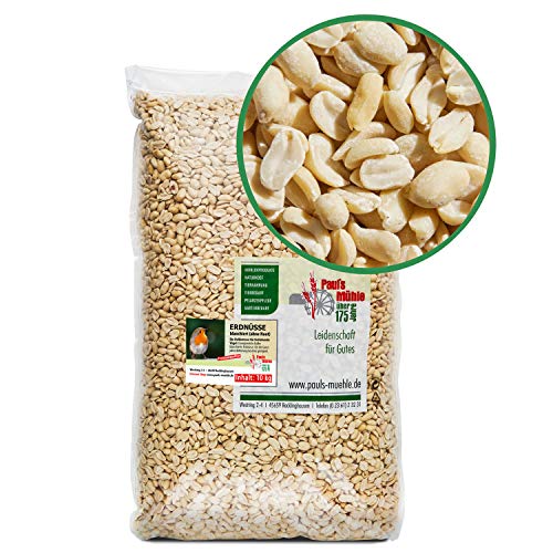 Paul´s Mühle Erdnüsse Weiss, Erdnusskerne blanchiert ohne Haut, 10 kg von Paul´s Mühle