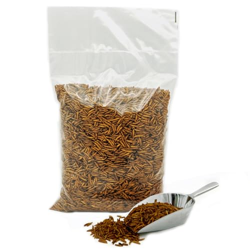 Paul´s Mühle Hermetialarven (Soldatenfliegenlarven) getrocknet (1 kg (1er Pack)) von Paul´s Mühle