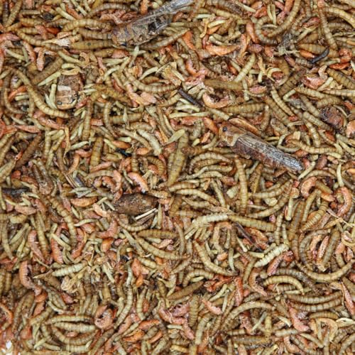 Paul´s Mühle Protein Power Insekten Mix für Vögel 1 kg Paul´s Mühle Protein Power Insekten Mix für Vögel 1 kg von Paul´s Mühle