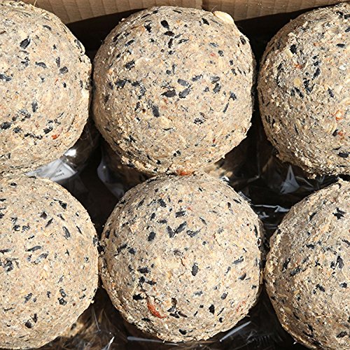 Paul´s Mühle Riesen-Meisenknödel, Ergänzungsfutter für Wildvögel, ohne Netz im Karton, 24 Stück (2 x 12 x 500 g) von Paul´s Mühle