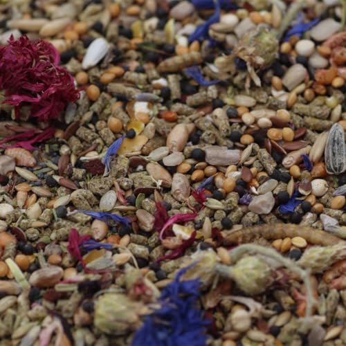 Paul´s Mühle Wachtelliebe Premium Wachtelfutter (10 kg (1er Pack)) von Paul´s Mühle