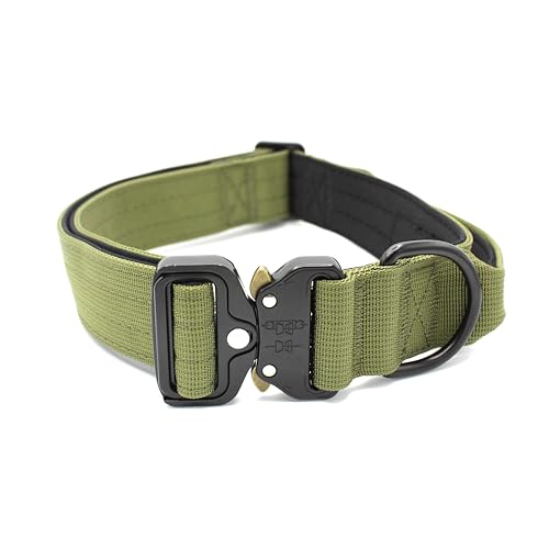 Paulde Hundehalsband mit Griff und Metall-Schnalle, Verstellbar, Hochwertig und Strapazierfähig, Ideal für Training und Alltag (Olivgrün, M: 35-45 cm, Breite 3,8 cm) von Paulde