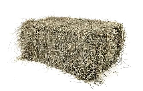 HD Premium Wiesenheu Ballen 12-15 kg – Frisch & natürlich direkt vom Erzeuger! I Heu Ballen I Pferdeheu I HD Heu Ballen I von Paulnala Dein XXL Onlineshop