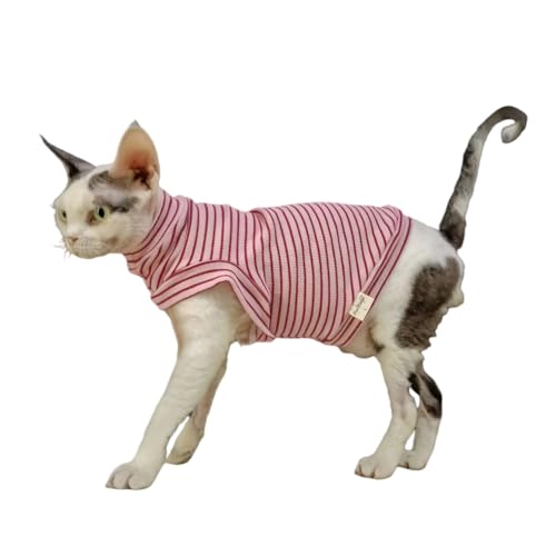 Katzen-Sweatshirt für haarlose Katzen, weiche Baumwollweste, warm, dehnbar, leicht anzuziehen, Welpenbekleidung für Sphynx-Katzen, Devon Rex-Katzen, Cornish Rex und Peterbald-Katzen, Rosa, Größe XXL Katzen-Sweatshirt für haarlose Katzen, weiche Baumwollweste, warm, dehnbar, leicht anzuziehen, Welpenbekleidung für Sphynx-Katzen, Devon Rex-Katzen, Cornish Rex und Peterbald-Katzen, Rosa, Größe XXL von Pavel Korchagin