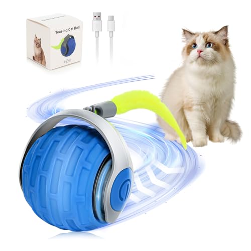 Pavlleen Katzenspielzeug Elektrisch Katzenball mit LED Licht, Interaktives Katzenspielzeug Ball, USB Wiederaufladbarer, 360° mit Ersatzschwanz Selbstdrehender, Lustiges Bälle Spielzeug (Blau) von Pavlleen