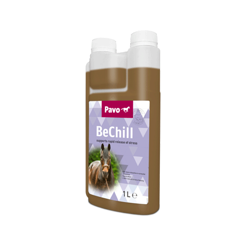 Pavo BeChill - 1000 ml von Pavo