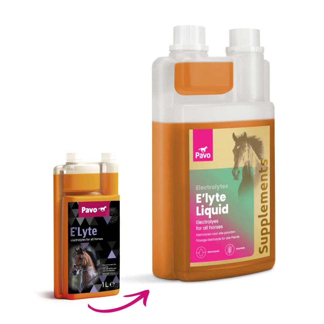 Pavo E'Lyte 1L Bei intensivem Training/Dehydration / ehemals ReHydrate Pavo E'Lyte 1L Bei intensivem Training/Dehydration / ehemals ReHydrate von Pavo