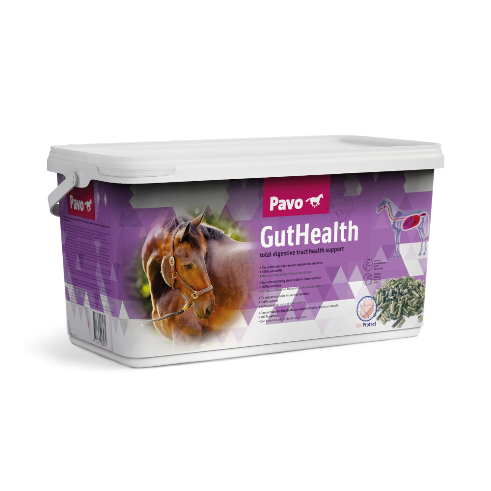 Pavo GutHealth - 7,5 kg Pavo GutHealth - 7,5 kg von Pavo