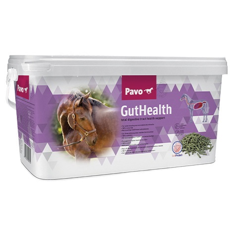 Pavo GutHealth 7,5kg Unterstützung von Magen & Darm Pavo GutHealth 7,5kg Unterstützung von Magen & Darm von Pavo