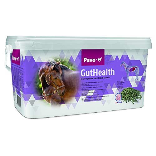 Pavo GutHealth 7,5kg Unterstützung von Magen & Darm von Pavo