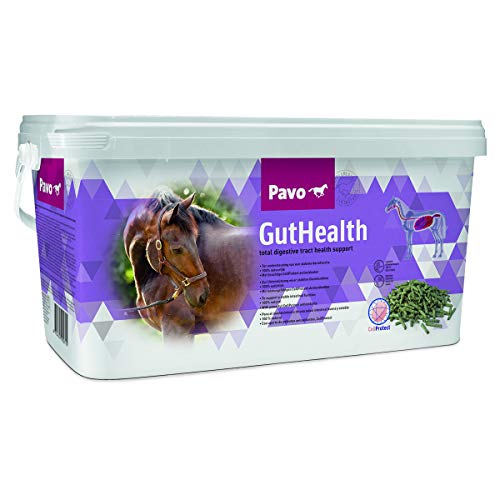 Pavo GutHealth | Unterstützt eine gesunde Verdauung | 7,5 KG von Pavo