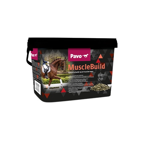 Pavo Muscle Build 3kg schnelle Muskelentwicklung Pavo Muscle Build 3kg schnelle Muskelentwicklung von Pavo