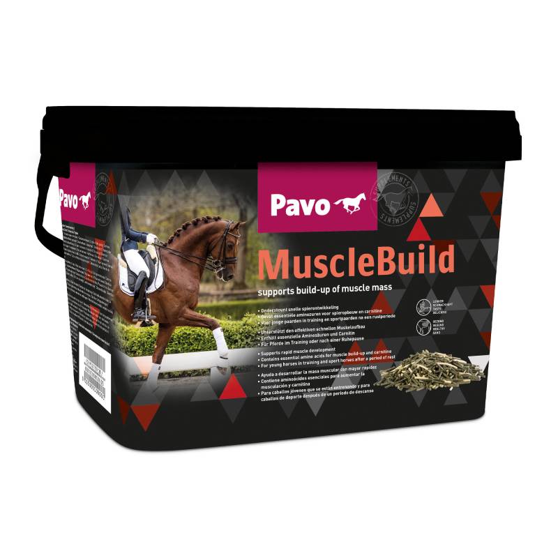 Pavo MuscleBuild - 3 kg von Pavo