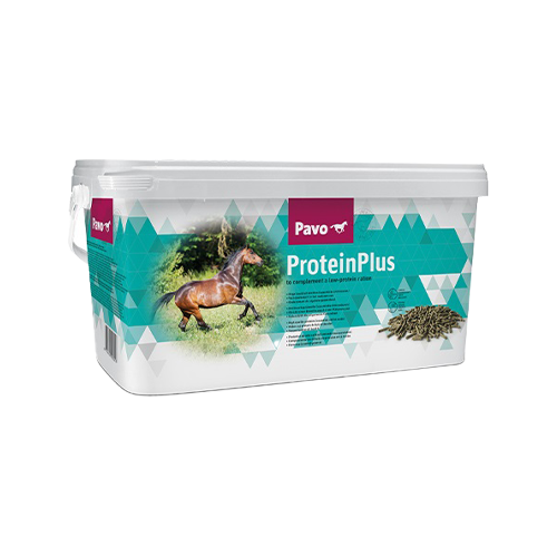 Pavo ProteinPlus - 7 kg von Pavo