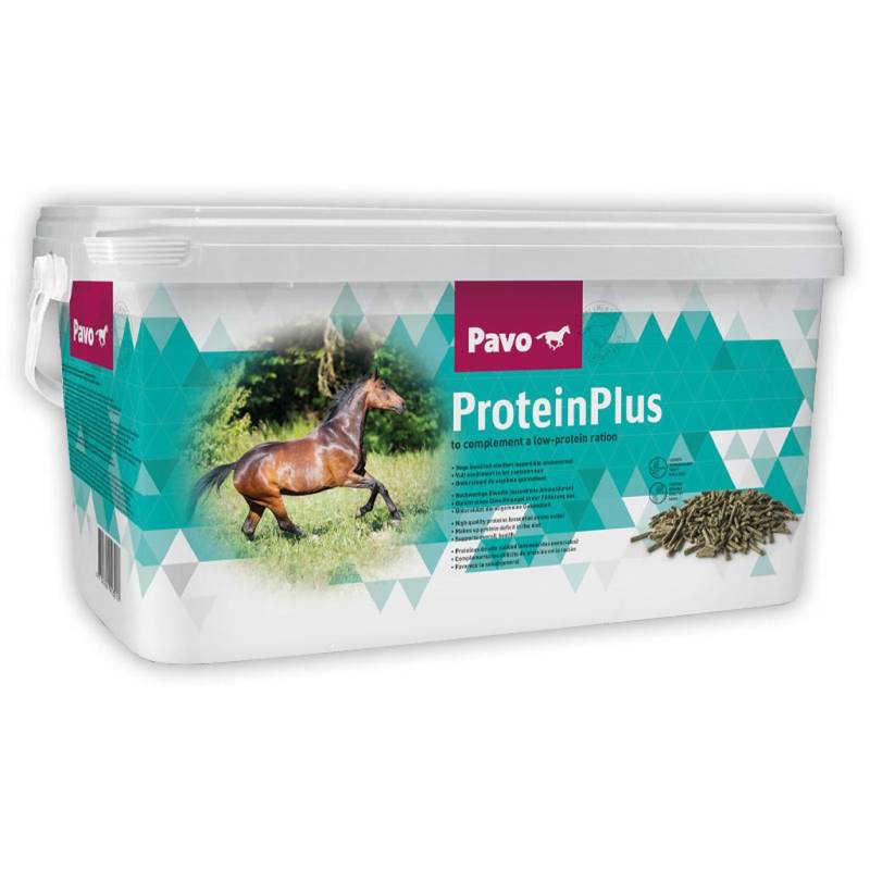 Pavo ProteinPlus 7kg Eimer Proteinquelle Pavo ProteinPlus 7kg Eimer Proteinquelle von Pavo