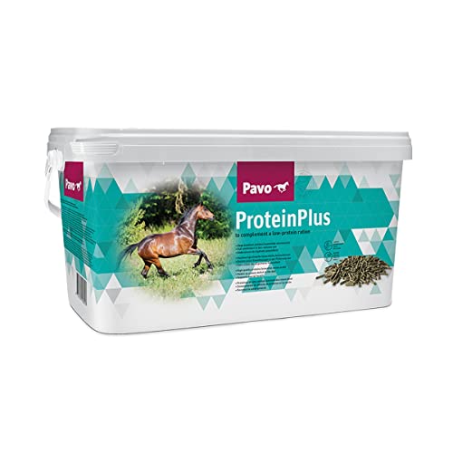 Pavo ProteinPlus 7kg Eimer Proteinquelle von Pavo