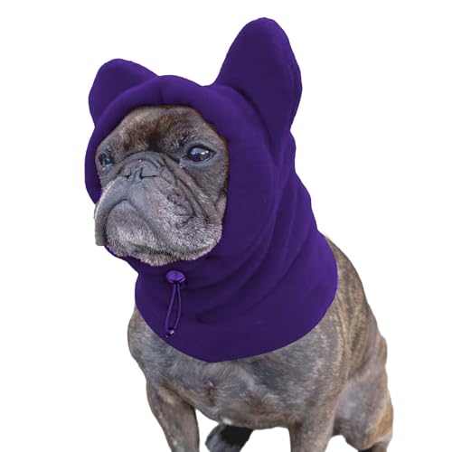 Pavsicgn Hund Beanie Mütze | Verstärkte Haustier Beanie | Verstellbare Warme Wintermütze für Hunde bei Kostüm Camping Wanderurlaub Outdoor-Party | Outdooraktivitäten Pavsicgn Hund Beanie Mütze | Verstärkte Haustier Beanie | Verstellbare Warme Wintermütze für Hunde bei Kostüm Camping Wanderurlaub Outdoor-Party | Outdooraktivitäten von Pavsicgn