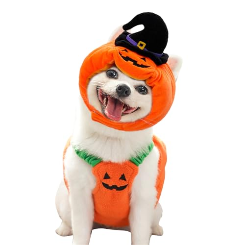 Pavsicgn Hundekürbiskostüm,Kürbis Welpen Hut - Halloween Hund Outfit Cosplay Kostüm Für Die Themenparty Die Täglichen Spaziergänge Fotografie Im Herbst Und Winter Welpe Verkleidung Pavsicgn Hundekürbiskostüm,Kürbis Welpen Hut - Halloween Hund Outfit Cosplay Kostüm Für Die Themenparty Die Täglichen Spaziergänge Fotografie Im Herbst Und Winter Welpe Verkleidung von Pavsicgn