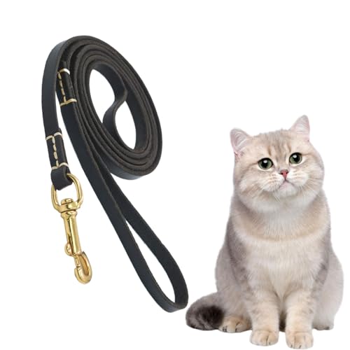 Pavsicgn Kein Pull -Seil, Hundetraktionsseil, Langes Hundesteil, Hunde Sicherheitsgürtelauto mit ergonomischem Design für das Wandertraining für mittelgroßes Tier Pavsicgn Kein Pull -Seil, Hundetraktionsseil, Langes Hundesteil, Hunde Sicherheitsgürtelauto mit ergonomischem Design für das Wandertraining für mittelgroßes Tier von Pavsicgn