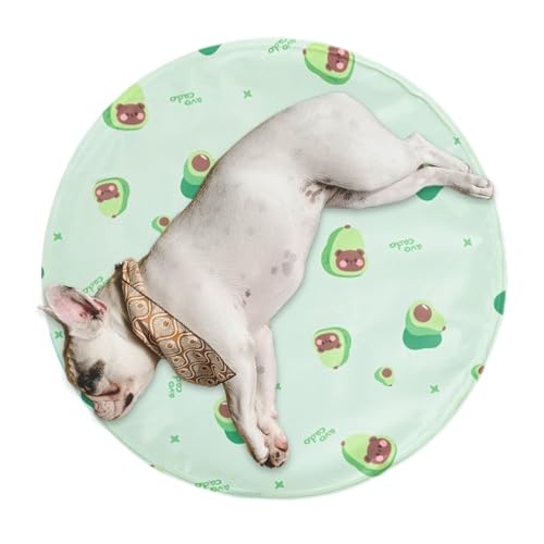 Pavsicgn Kühldecke für Hunde, Sommer-Kühlmatte für Haustiere, Ice Indoor-Hundedecke, Doppelschichtige Schlafunterlage aus Polymer-Gel für kleine bis mittelgroße Hunde Pavsicgn Kühldecke für Hunde, Sommer-Kühlmatte für Haustiere, Ice Indoor-Hundedecke, Doppelschichtige Schlafunterlage aus Polymer-Gel für kleine bis mittelgroße Hunde von Pavsicgn