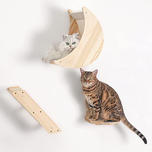 Katzenregal für Wandhalterung Hängematte mit Kletterregalen und Sitzstangen Massivholz Katzentreppe für Katzen zum Klettern Schlafen Spielen Faulenzen Sitzen Katzenregal für Wandhalterung Hängematte mit Kletterregalen und Sitzstangen Massivholz Katzentreppe für Katzen zum Klettern Schlafen Spielen Faulenzen Sitzen von Paw Clap