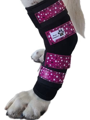 Paw Empire,1 Paar Hundebeinbandagen, ultra-stützend, bequem, doppelte Metallfedern, Hinterbeinbandagen, hilft Verletzungen und Verstauchungen (lila Sterne, groß) von Paw Empire