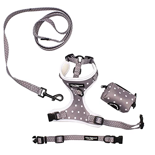 Paw Highness Hundegeschirr, Halsband, Leine und Kotbeutelhalter-Set, Grau mit Punkten Paw Highness Hundegeschirr, Halsband, Leine und Kotbeutelhalter-Set, Grau mit Punkten von Paw Highness