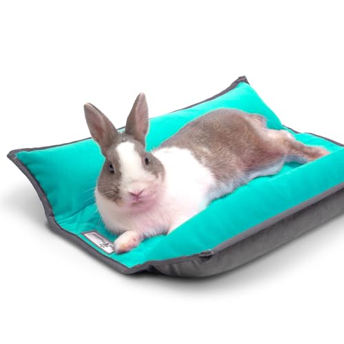 Paw Inspired® Snuggle Bunny Bett für Kaninchen und andere kleine Haustiere und Tiere, wendbare Fleece-Bettwäsche mit gepolsterten Seiten (Grau/Grün) von Paw Inspired