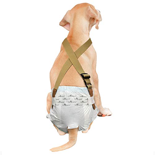 Paw Inspired The Original Dog Windel-Hosenträger,Bauchbänder Hundegeschirr,Strapazierfähiges Kleid & Windelhalter,Halten Sie Windeln auf Ihrem Hund, mittelgroße und große Hunde (M/L, Braun) von Paw Inspired