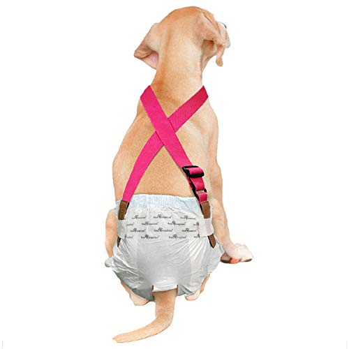 Paw Inspired The Original Dog Windel-Hosenträger,Bauchbänder Hundegeschirr,Strapazierfähiges Kleid & Windelhalter,Halten Sie Windeln auf Ihrem Hund, mittelgroße und große Hunde (M/L, Rosa) von Paw Inspired