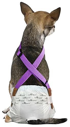 Paw Inspired The Original Hundewindel-Hosenträger,Bauchbänder Hundegeschirr,Strapazierfähige Kleider- und Windelhalter, mittelgroße und große Hunde (XS/S, Violett) von Paw Inspired