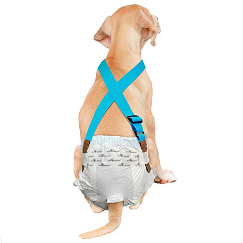 Paw Inspired The Original Hundewindel-Hosenträger,Bauchbänder Hundegeschirr,Strapazierfähiges Kleid & Windelhalter,Halten Sie Windeln auf Ihrem Hund, mittelgroße und große Hunde (M/L, Blau) von Paw Inspired