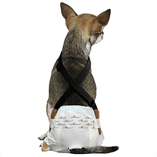 Paw Inspired The Original Hundewindel-Hosenträger,Bauchbänder Hundegeschirr,Strapazierfähiges Kleid & Windelhalter,Halten Sie Windeln auf Ihrem Hund, mittelgroße und große Hunde (XS/S, Schwarz) von Paw Inspired