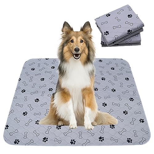 Paw Jamboree Puppy Pads Pet Training Pads for Dogs Reusable Washable Pee Pads for Dogs Small Dog Training Pads Puppy Pee Pads Puppy Training Pads 46 x 61 cm (2 Stück) von Paw Jamboree