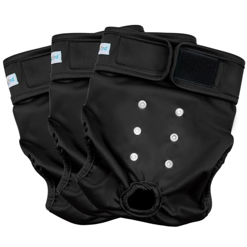 Paw Legend Waschbare, wiederverwendbare Windeln für Hündinnen für Hündinnen, Hundewindeln für Hündinnen, Größe L, 3 Stück Paw Legend Waschbare, wiederverwendbare Windeln für Hündinnen für Hündinnen, Hundewindeln für Hündinnen, Größe L, 3 Stück von Paw Legend