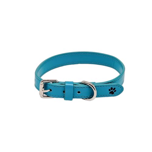 Türkisfarbene Leder Hundehalsband - Türkisfarbene Halsband Für Hunde Aus Leder - Blau - Twinkly Turquoise - Paw My God! - Größe L von Paw My God!