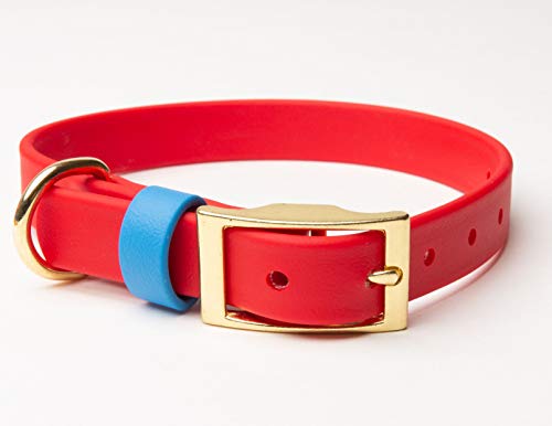 PawFurEver Wasserdichtes Hundehalsband von, Medium, rot / blau von PawFurEver