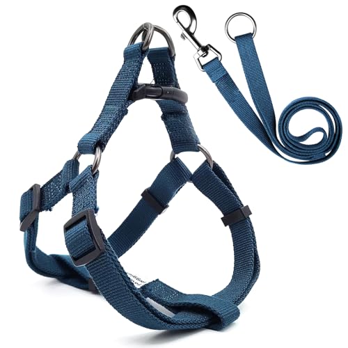 Pawhuggies Hundegeschirr und Leine-Set, blaugrün, weicher und atmungsaktiver Bambusstoff, verstellbar, sanft zum Spazierengehen mit mittelgroßen Hunden Pawhuggies Hundegeschirr und Leine-Set, blaugrün, weicher und atmungsaktiver Bambusstoff, verstellbar, sanft zum Spazierengehen mit mittelgroßen Hunden von PawHuggies