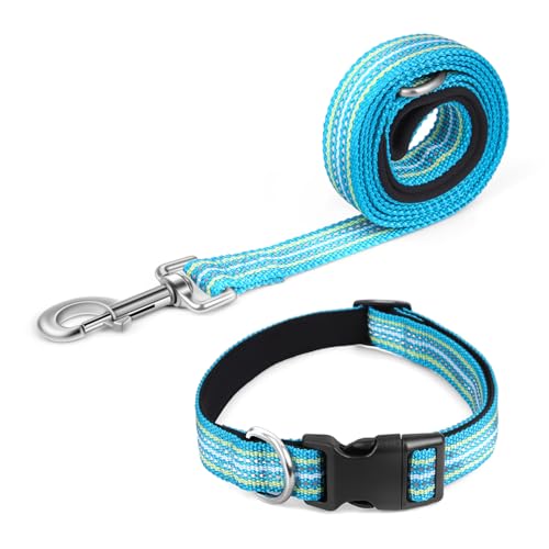 Pawhuggies Reflektierendes Hundehalsband und Leine, Nylon-Hundeleine mit robustem D-Ring aus Stahl, verstellbar mit Schnellverschluss-Schnalle für große Hunde, Cyan, Größe L von PawHuggies