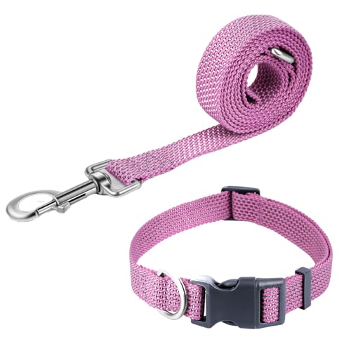 Pawhuggies Reflektierendes Hundehalsband und Leine, Nylon-Hundeleine mit robustem D-Ring aus Stahl, verstellbar mit Schnellverschluss-Schnalle für große Hunde, Lila, L von PawHuggies